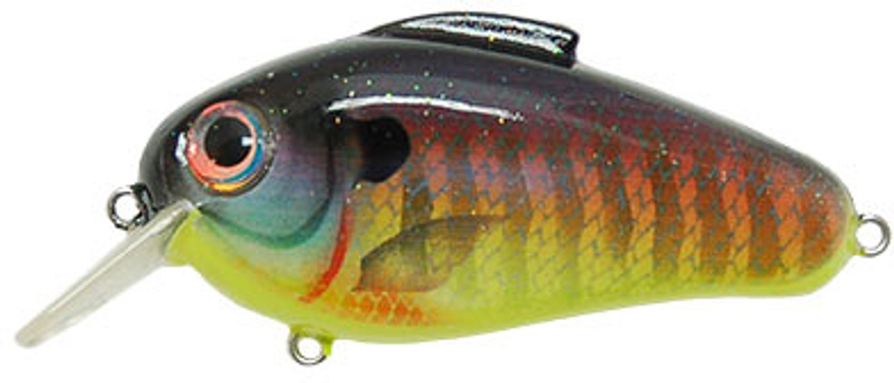 eye´s アイズ Fish&Bird 517sw3uK3jL._UF350,350_QL50_.jpg