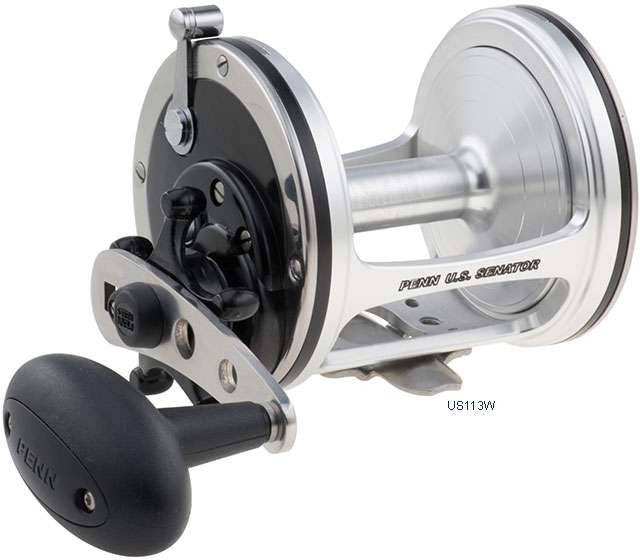 Penn US Senator Conventional Reels - TackleDirect