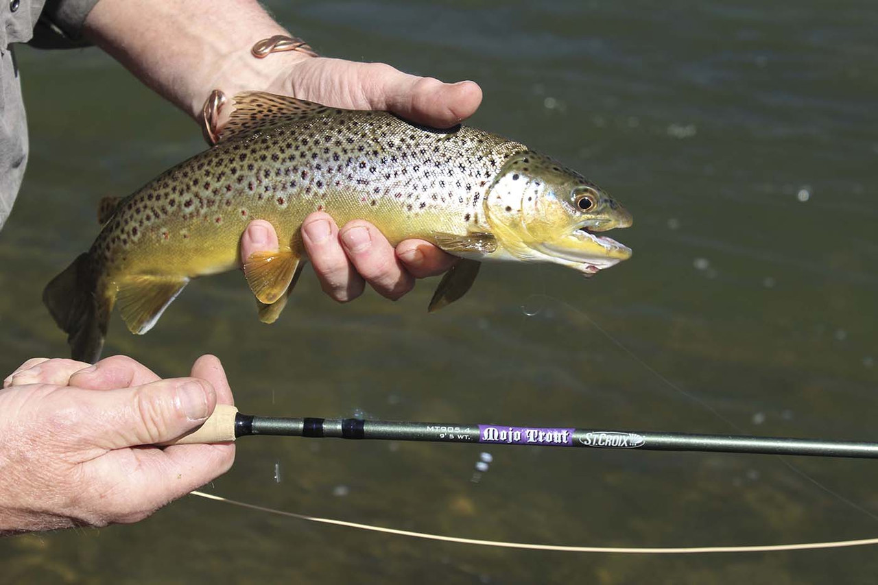 St. Croix MT793.4 Mojo Trout Fly Rod - TackleDirect