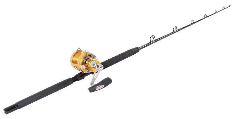 Penn Int. 30VISX/TackleDirect Platinum Hook Standup Combo