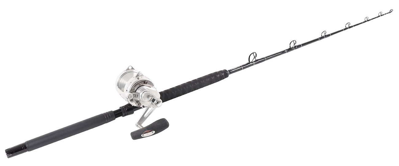 Penn Int. 30VISXS/TackleDirect Platinum Hook Standup Combo