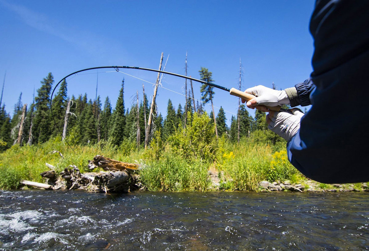 フライロッド Thomas & Thomas Avantt 904-4 (美品) Thomas and Thomas 904-4 Avantt Fly Rod - 9 ft. - 4WT - TackleDirect