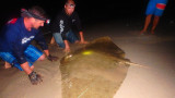 Big Game Surf Rays