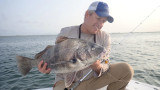 Black Drum Brigade