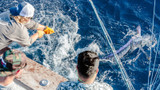 2024 White Marlin Open Fishing Tournament