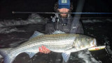 Best Producing Fall Striped Bass Lures