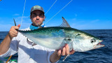 How to Fish for False Albacore
