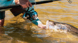 Top 10 Inshore Spinning Reels