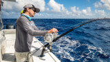 Top 5 Daytime Swordfish Reels