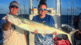 Top 5 King Mackerel "Kingfish" Reels