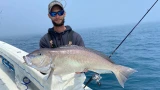 Top 5 Non Electric Tilefishing Reels