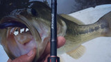 Drop Shot Fishing with Cody Barry