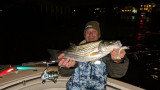 Fall Bridge Bassin