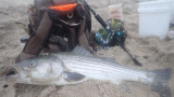 Fishing a Nor'East Surf
