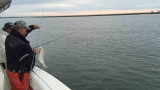 Flounder Season Opens in New Jersey