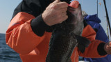Holiday Fishing Apparel
