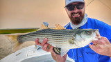 Landing Striped Bass in the Northeast