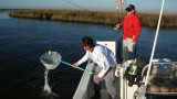 Mississippi Seatrout