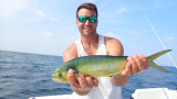 Picking Mahi Off Structure