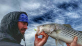 Q&A with Capt. Brian Williams