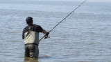 Riverbank Stripers