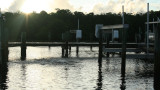 Snook off the Docks