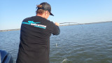 Sodbank Stripers