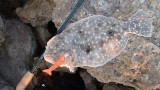 Tackle Checklist for Winter Florida Trips
