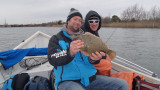 Winter Flounder Poundin