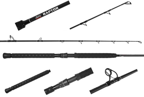 Jigging World Raptor Spinning Rods