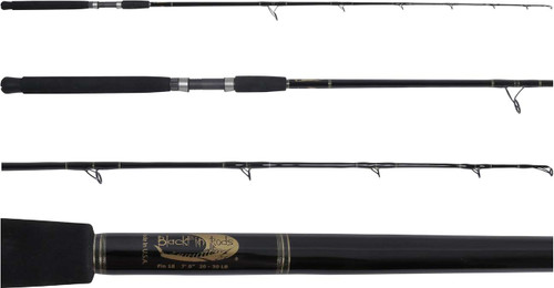 Blackfin Fin #17 Spinning Rod