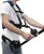 PlayAction Sailfish Rod Belt & Harness Combo