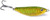 Clarkspoon Pogie Jigs