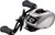 Daiwa Zillion SV TW Baitcasting Reels