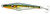 Nomad Design Sidekick Surface Iron Lure