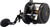 Penn Squall II Level Wind SQLII50LW Conventional Reel