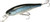 Lucky Craft PT100 Pointer 100SP Jerkbait Lure
