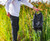 Daiwa D-VEC Dry Bag