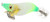 Shimano Sephia Clinch Squid Jig 2.5in F Banana Chartreuse