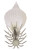 Shimano Sephia Clinch Squid Jig 2.5in Keimura White