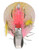 Shimano Sephia Clinch Squid Jig 2.5in Pink Chartreuse