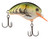 Shimano World Rush Squarebill Crankbait Green Craw