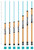 St. Croix Avid Series Inshore ASIS76MHF Spinning Rod