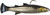 Z-Man Mulletron LT Swimbaits