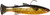 Z-Man Mulletron LT Swimbaits