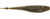 Rapala Crush City Freeloader