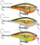 Rapala Clackin' Crank Lures