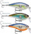 Rapala Clackin' Crank Lures