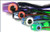Bahama Lures Bianca