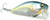 Megabass i-Jack Topwater Lure